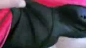 ڈاؤن لوڈ ، اتارنا سملینگک فحش ویڈیوز