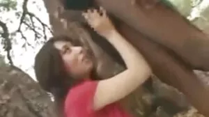 چارباٹی مفت فحش