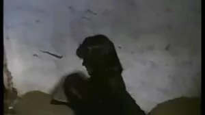 جاپانی بیوی حقیقی کے orgasm کے ویڈیو