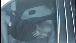 بڑے سفید کاک تباہ موٹی بلی