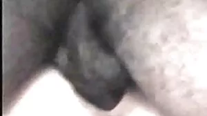 فحش Ga interrazziale نسلی گھر