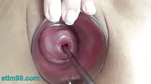 جنسی vibrator