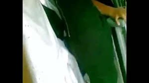 گل داؤدی پیچ