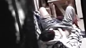 مفت جنسی کے بڑے گدھے