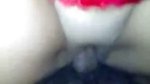 Pornhum بی