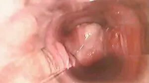 مفت آن لائن نرم فحش فلموں